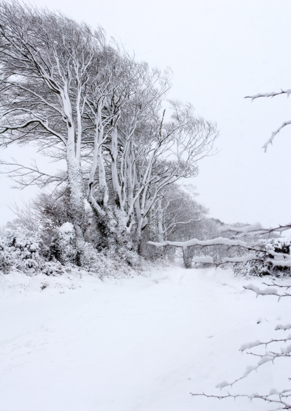 Snow covered road in a winter landscape