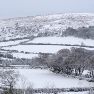 Snow covered winter landscape