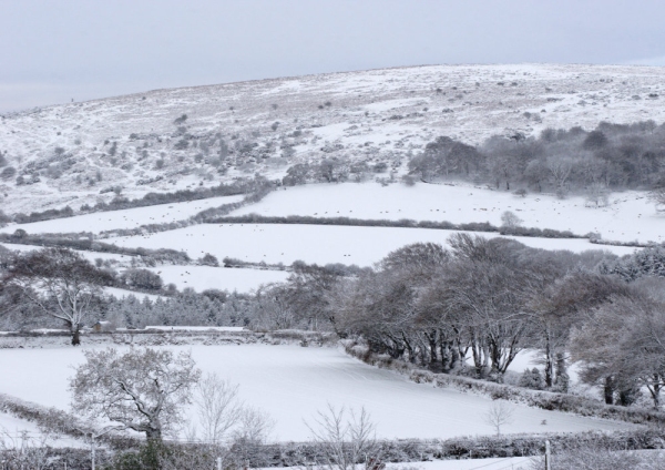 Snow covered winter landscape