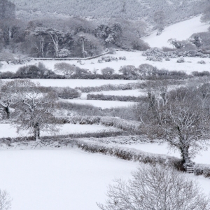 Winter snow covered farm fields