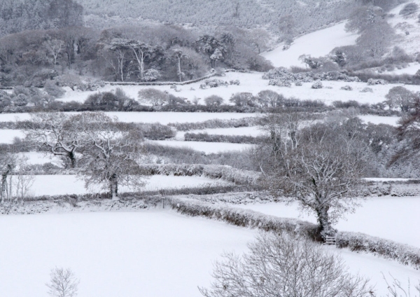 Winter snow covered farm fields