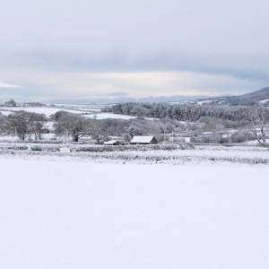 Snow covered countryside with distant forest