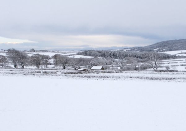 Snow covered countryside with distant forest