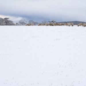 A distant snow covered horizon