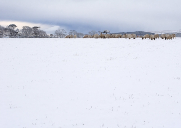 A distant snow covered horizon