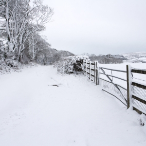 Farm fences in a snow covered landscape