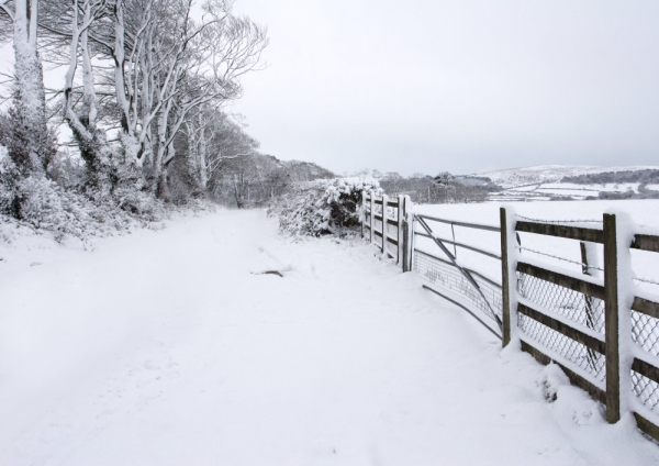 Farm fences in a snow covered landscape