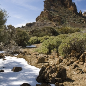 A mountain desert landscape with snow