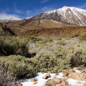 An arid Tenerife mountain landscape with El Teide in the background