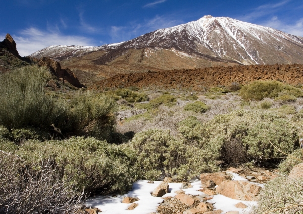 An arid Tenerife mountain landscape with El Teide in the background