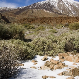 An arid Tenerife mountain landscape with El Teide in the distance