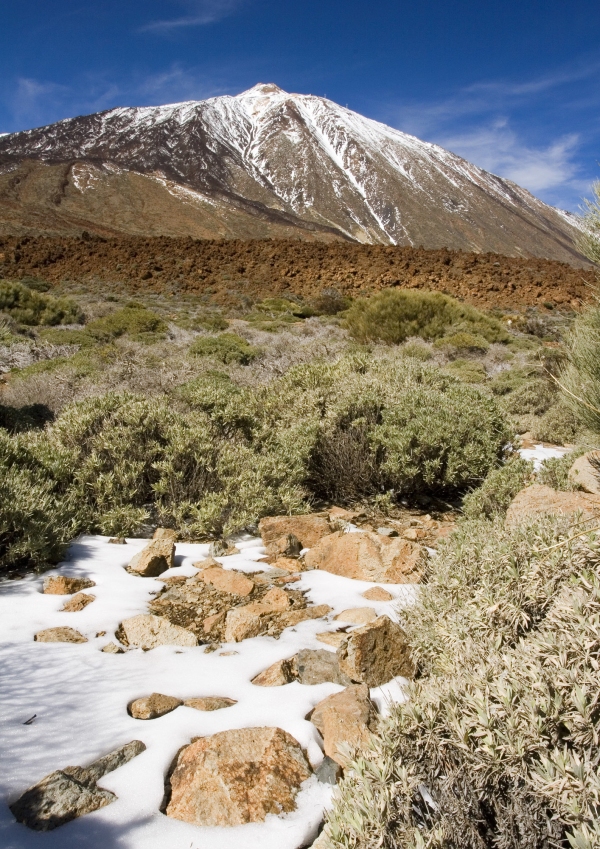 An arid Tenerife landscape with El Teide in the distance