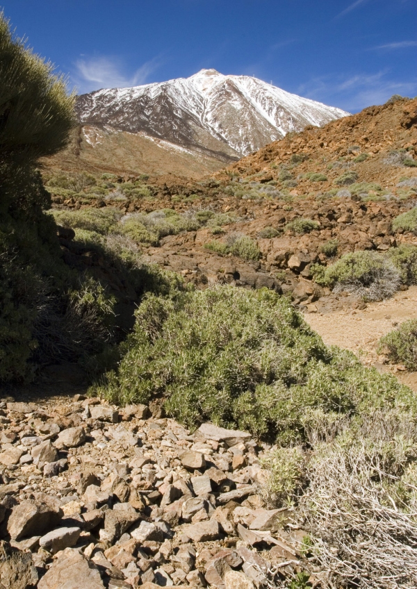 A rocky landscape in Tenerife with El Teide in the distance