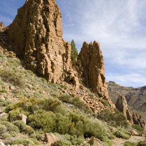 Rocky outcrops in the desert