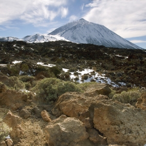 El Teide seen from a distance