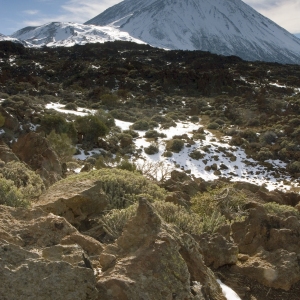 El Teide across a snow covered desert landscape