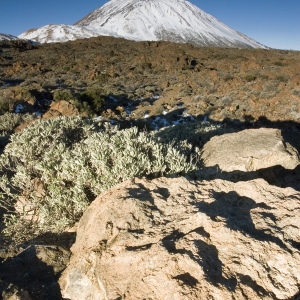 El Teide in the distance with rocks in the foreground