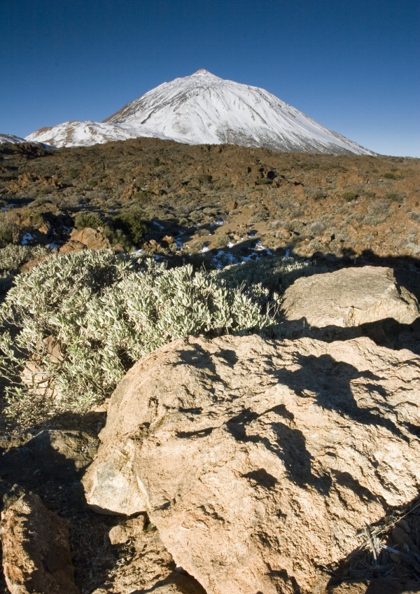 El Teide in the distance with rocks in the foreground