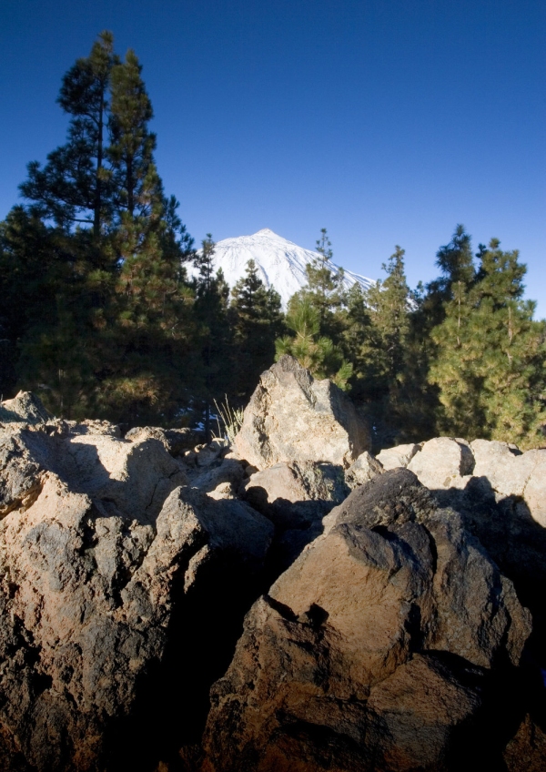 Forest and rocks in Tenerife, with El Teide in the distance