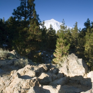 A rocky landscape in Tenerife with El Teide in the distance