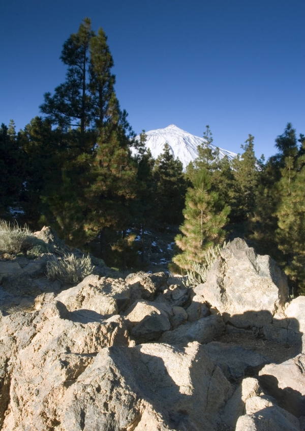 A rocky landscape in Tenerife with El Teide in the distance