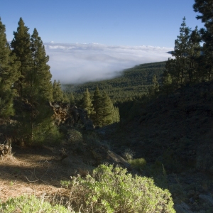 The mountains in Tenerife