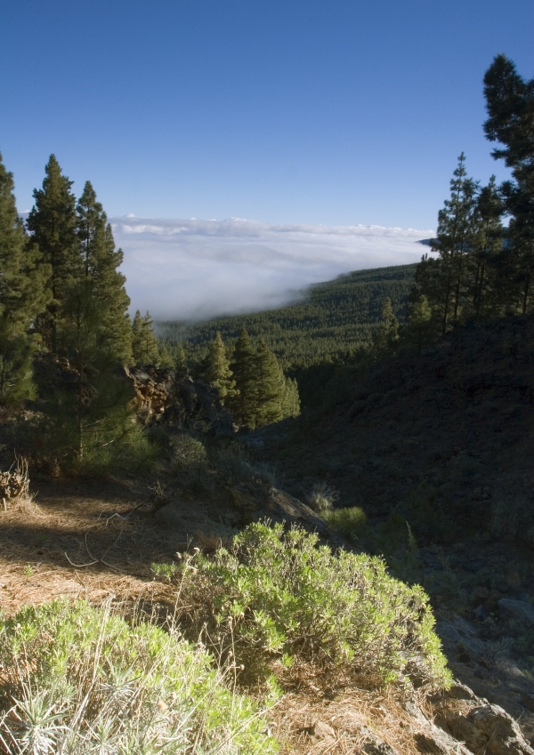 The mountains in Tenerife