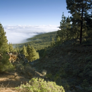 Rocky mountains in Tenerife