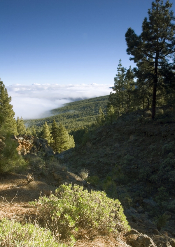 Rocky mountains in Tenerife