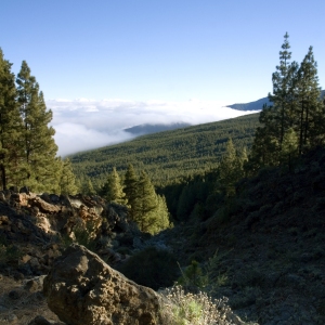 Mountain landscape in Tenerife