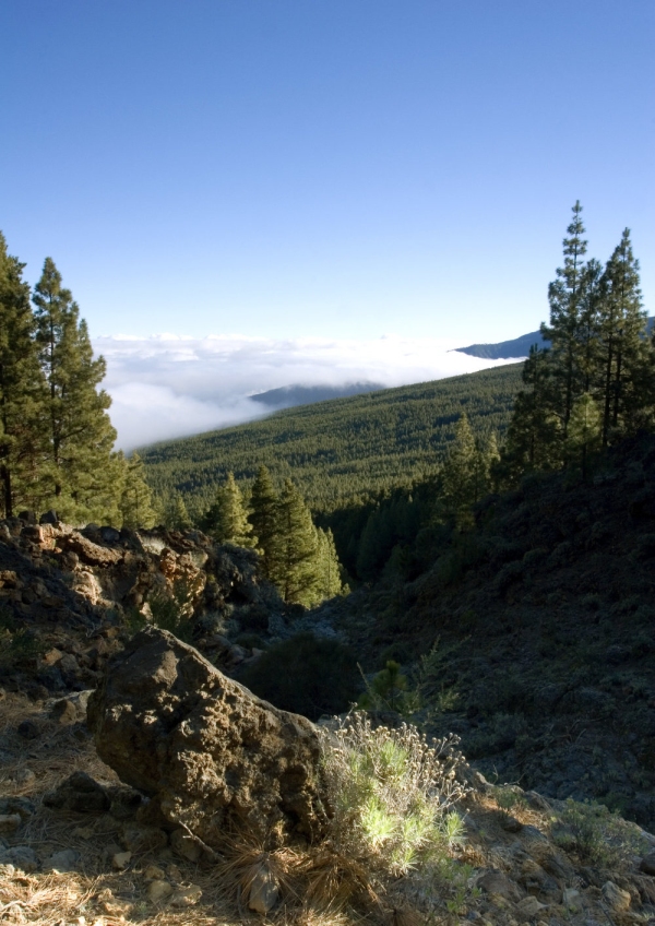 Mountain landscape in Tenerife