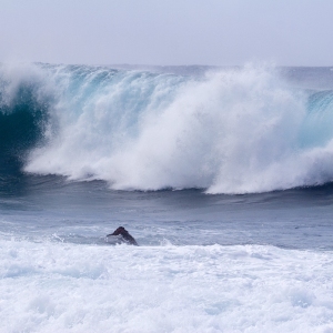 Big breakers on the beach