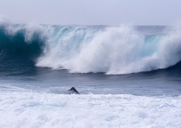 Big breakers on the beach