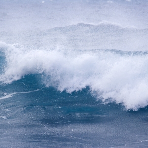 Whitecaps on a turbulent sea