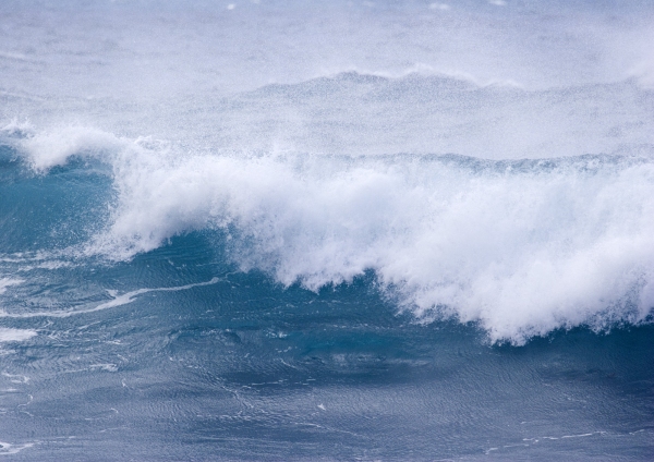 Whitecaps on a turbulent sea