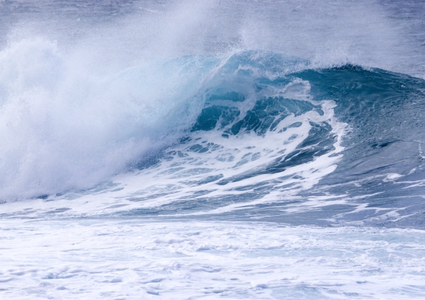 A classic surfer wave in a high sea