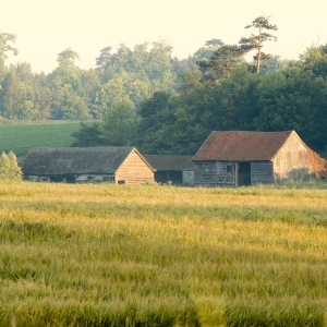 Traditional farm buildings in Suffolk