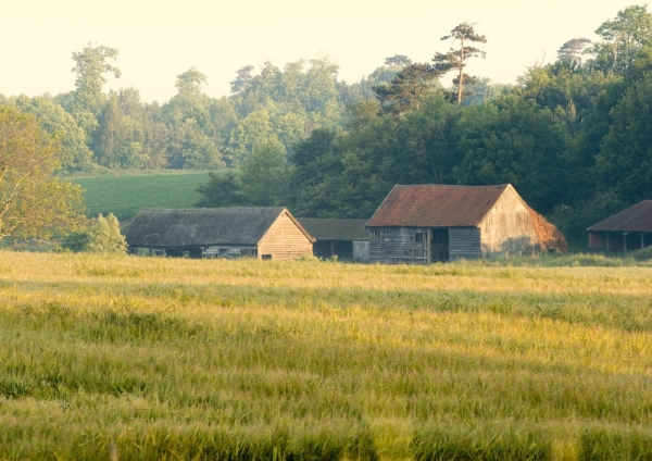 Traditional farm buildings in Suffolk