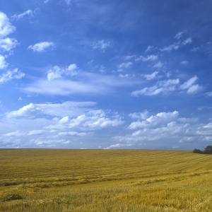 A recently harvested wheat field against a brilliantly blue sky