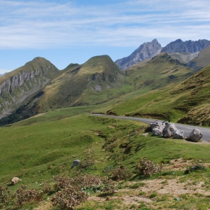 An alpine road