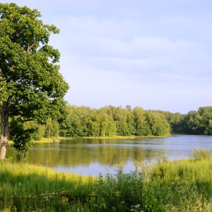 A pristine lake in a remote region, surrounded by extensive woodland