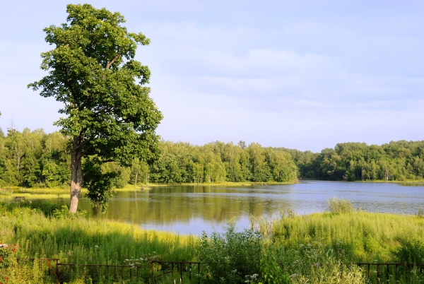 A pristine lake in a remote region, surrounded by extensive woodland