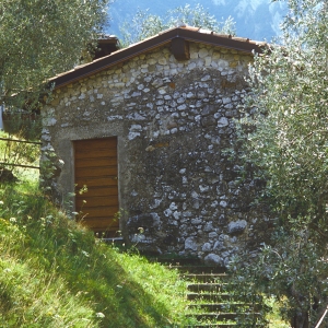 Hillside shepherd's hut in the Italian Alps