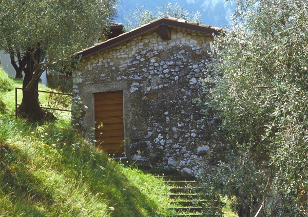 Hillside shepherd's hut in the Italian Alps