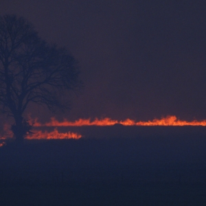 A fire in a field