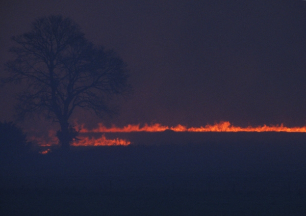 A fire in a field