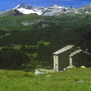 Alpine stone buildings in the Italian alps