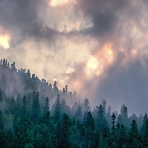 Fog in the mountains with sunset