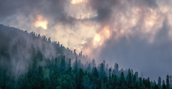 Fog in the mountains with sunset