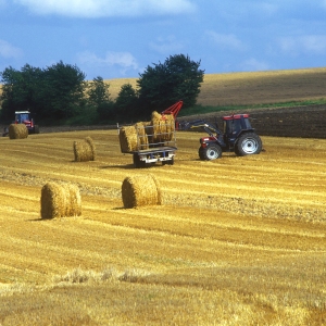 Tractors gathering bales of straw after the harvest in a wheat field